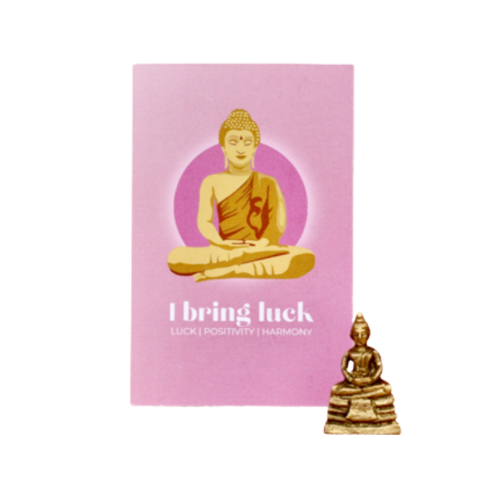 Mini-Boeddha-Bring-You-Luck-1 Mini Boeddha - Bring You Luck